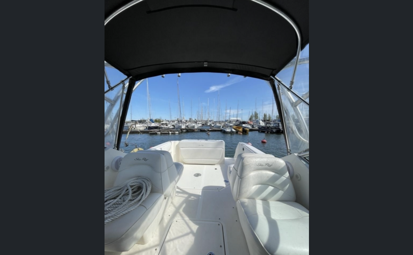 Sea Ray 275 Amberjack-kuva-7